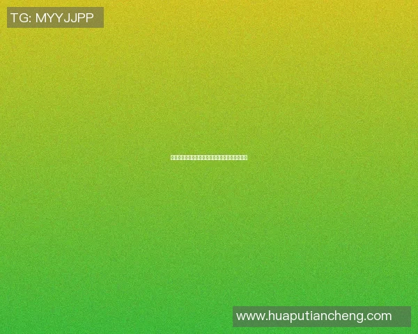 足球明星形象多样化展示及其代表性图片精选推荐